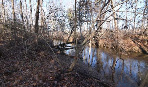 Photo #18 of Plank Road, Dillwyn, VA 30.3 acres