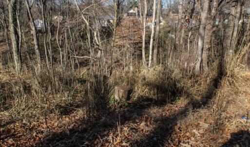 Photo #1 of SOLD property in 4613 Greenwood Drive, Lynchburg, VA 0.4 acres