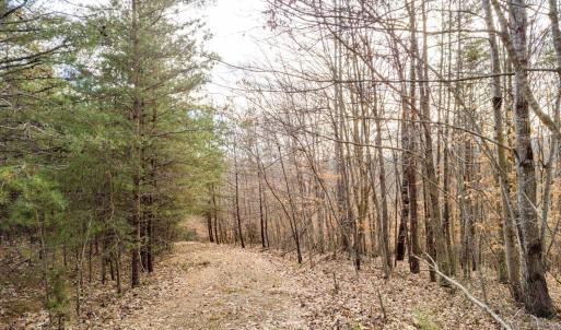 Photo #10 of 0 Red Birch Dr Lot 34, Pittsville, VA 4.9 acres