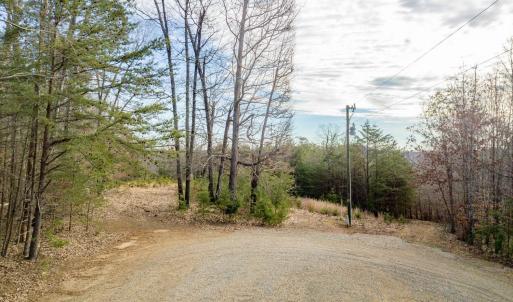 Photo #12 of 0 Red Birch Dr Lot 34, Pittsville, VA 4.9 acres