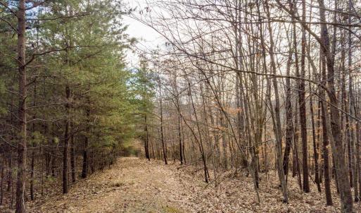 Photo #11 of 0 Red Birch Dr Lot 34, Pittsville, VA 4.9 acres