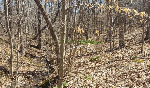 Photo #4 of Hunter Road, Brookneal, VA 5.1 acres