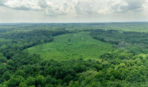 Photo #8 of 937 White Fall Road, Gretna, VA 103.9 acres