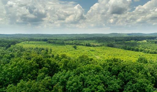 Photo #10 of 937 White Fall Road, Gretna, VA 103.9 acres