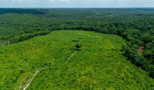 Photo #2 of 937 White Fall Road, Gretna, VA 103.9 acres