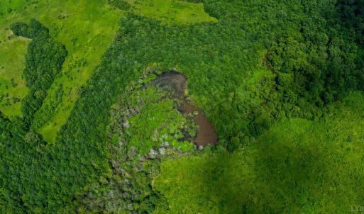 Photo #5 of 937 White Fall Road, Gretna, VA 103.9 acres