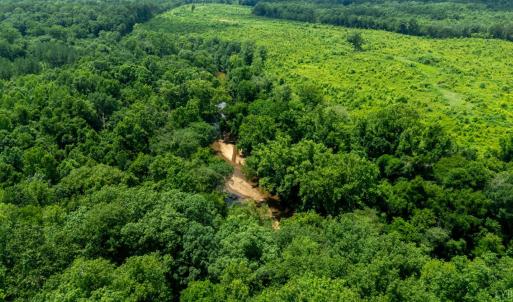 Photo #12 of 937 White Fall Road, Gretna, VA 103.9 acres