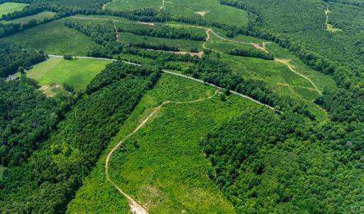 Photo #1 of 937 White Fall Road, Gretna, VA 103.9 acres