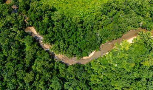 Photo #13 of 937 White Fall Road, Gretna, VA 103.9 acres