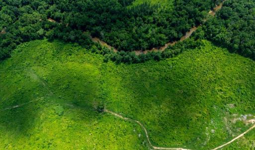 Photo #3 of 937 White Fall Road, Gretna, VA 103.9 acres