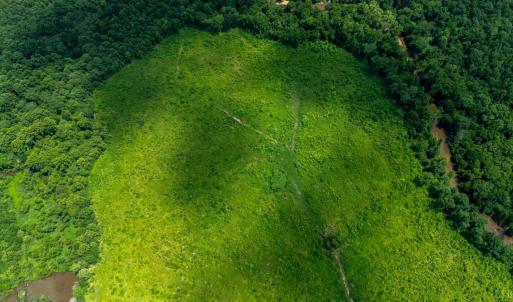 Photo #4 of 937 White Fall Road, Gretna, VA 103.9 acres