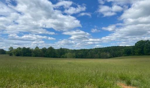 Photo #6 of Kitsmont, Forest, VA 1.0 acres