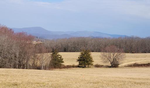 Photo #6 of Forest Road, Bedford, VA 8.4 acres