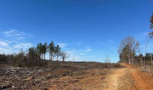 Photo #5 of 0 Lewis Ford Road Lot 1, Brookneal, VA 75.0 acres