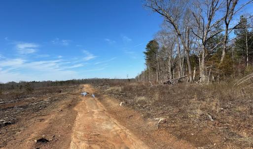 Photo #10 of 0 Lewis Ford Road Lot 1, Brookneal, VA 75.0 acres