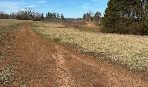 Photo #1 of 0 Lewis Ford Road Lot 1, Brookneal, VA 75.0 acres