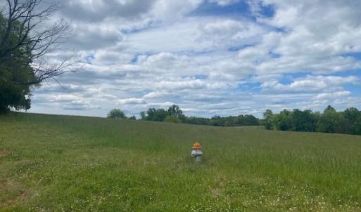 Photo #3 of Kitsmont, Forest, VA 1.2 acres