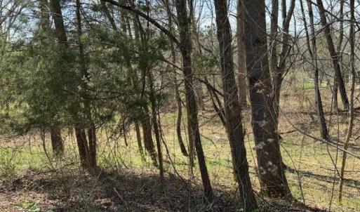 Photo #8 of SOLD property in 0 Jennings Drive, Lynchburg, VA 1.5 acres