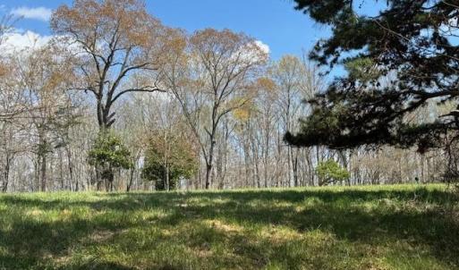Photo #9 of SOLD property in 0 Jennings Drive, Lynchburg, VA 1.5 acres
