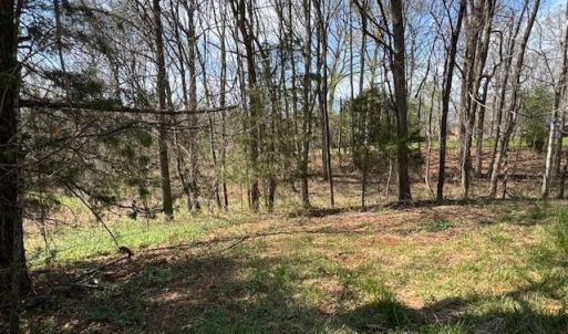Photo #10 of SOLD property in 0 Jennings Drive, Lynchburg, VA 1.5 acres