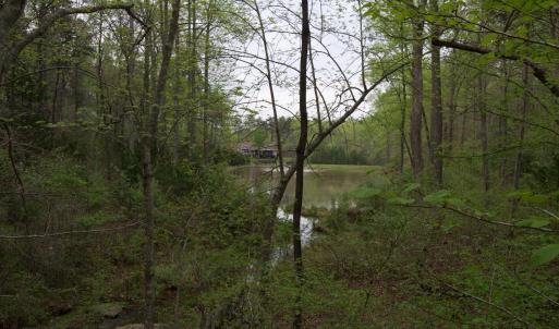Photo #54 of Lot 361 Clear Point Run, Lynch Station, VA 3.7 acres