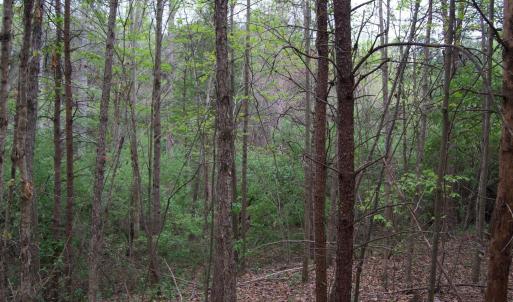 Photo #41 of Lot 361 Clear Point Run, Lynch Station, VA 3.7 acres