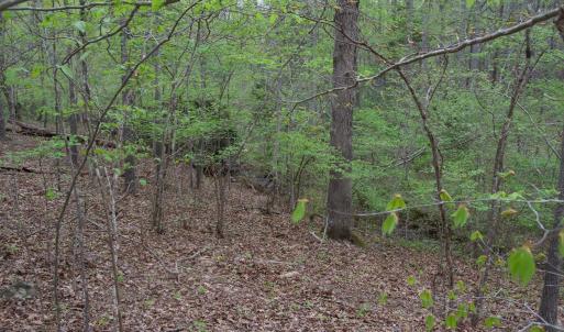 Photo #50 of Lot 361 Clear Point Run, Lynch Station, VA 3.7 acres