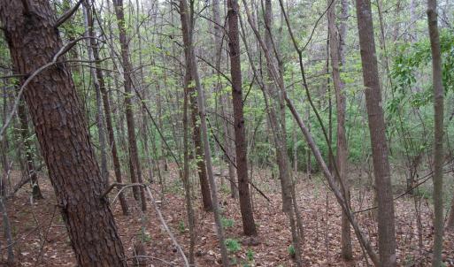 Photo #39 of Lot 361 Clear Point Run, Lynch Station, VA 3.7 acres