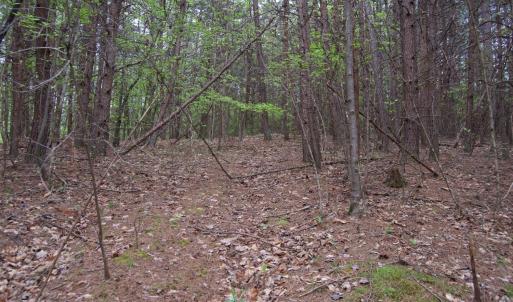 Photo #44 of Lot 361 Clear Point Run, Lynch Station, VA 3.7 acres