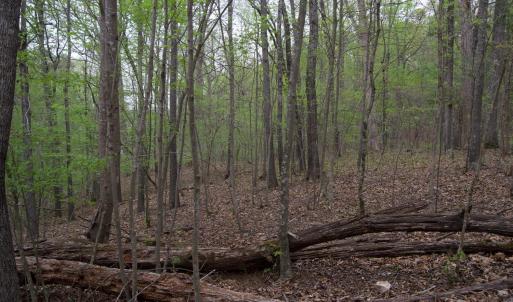 Photo #59 of Lot 361 Clear Point Run, Lynch Station, VA 3.7 acres