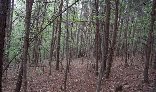 Photo #67 of Lot 361 Clear Point Run, Lynch Station, VA 3.7 acres