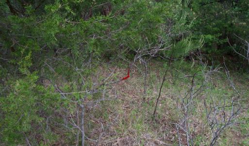 Photo #71 of Lot 361 Clear Point Run, Lynch Station, VA 3.7 acres