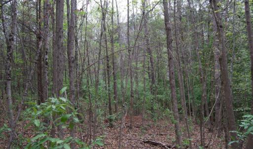 Photo #38 of Lot 361 Clear Point Run, Lynch Station, VA 3.7 acres