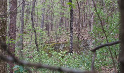 Photo #34 of Lot 361 Clear Point Run, Lynch Station, VA 3.7 acres