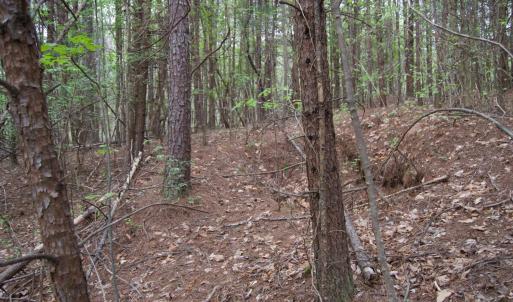 Photo #63 of Lot 361 Clear Point Run, Lynch Station, VA 3.7 acres