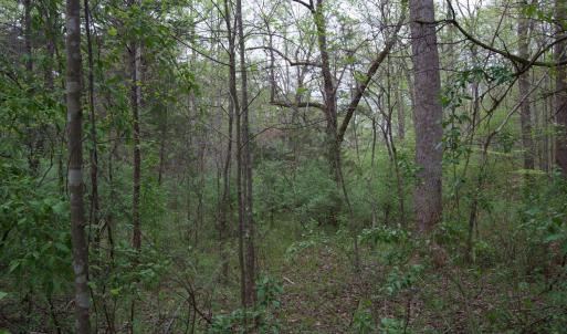 Photo #35 of Lot 361 Clear Point Run, Lynch Station, VA 3.7 acres