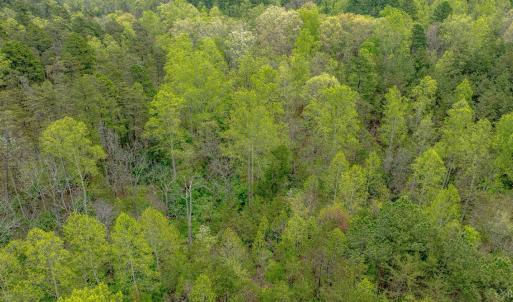 Photo #12 of Lot 361 Clear Point Run, Lynch Station, VA 3.7 acres