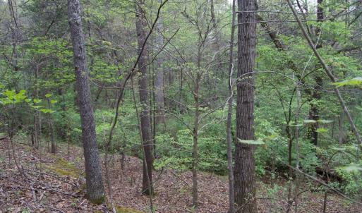 Photo #49 of Lot 361 Clear Point Run, Lynch Station, VA 3.7 acres