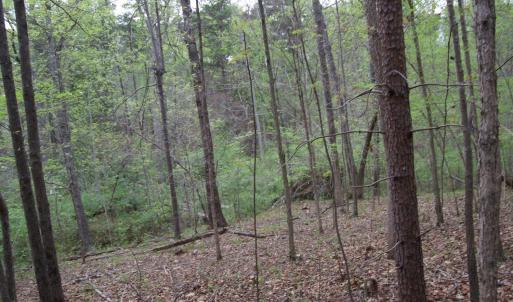 Photo #60 of Lot 361 Clear Point Run, Lynch Station, VA 3.7 acres