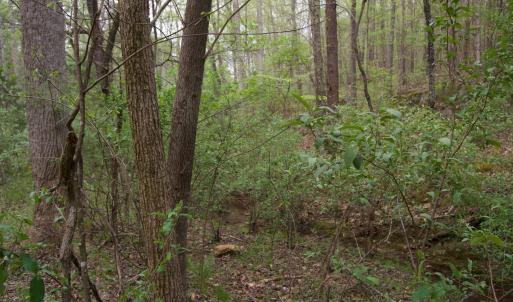 Photo #32 of Lot 361 Clear Point Run, Lynch Station, VA 3.7 acres