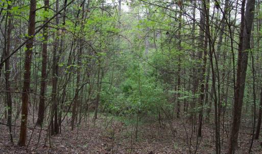 Photo #65 of Lot 361 Clear Point Run, Lynch Station, VA 3.7 acres