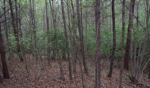 Photo #42 of Lot 361 Clear Point Run, Lynch Station, VA 3.7 acres