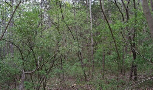 Photo #37 of Lot 361 Clear Point Run, Lynch Station, VA 3.7 acres