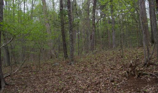 Photo #56 of Lot 361 Clear Point Run, Lynch Station, VA 3.7 acres