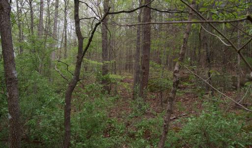 Photo #31 of Lot 361 Clear Point Run, Lynch Station, VA 3.7 acres