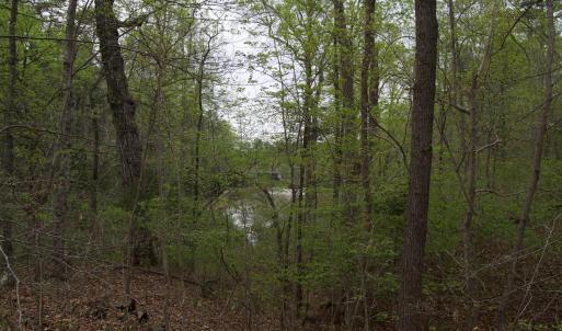 Photo #55 of Lot 361 Clear Point Run, Lynch Station, VA 3.7 acres
