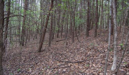 Photo #66 of Lot 361 Clear Point Run, Lynch Station, VA 3.7 acres