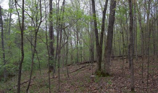 Photo #47 of Lot 361 Clear Point Run, Lynch Station, VA 3.7 acres
