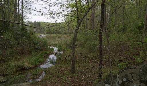 Photo #53 of Lot 361 Clear Point Run, Lynch Station, VA 3.7 acres