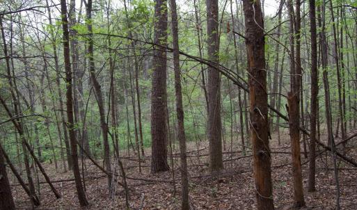 Photo #61 of Lot 361 Clear Point Run, Lynch Station, VA 3.7 acres